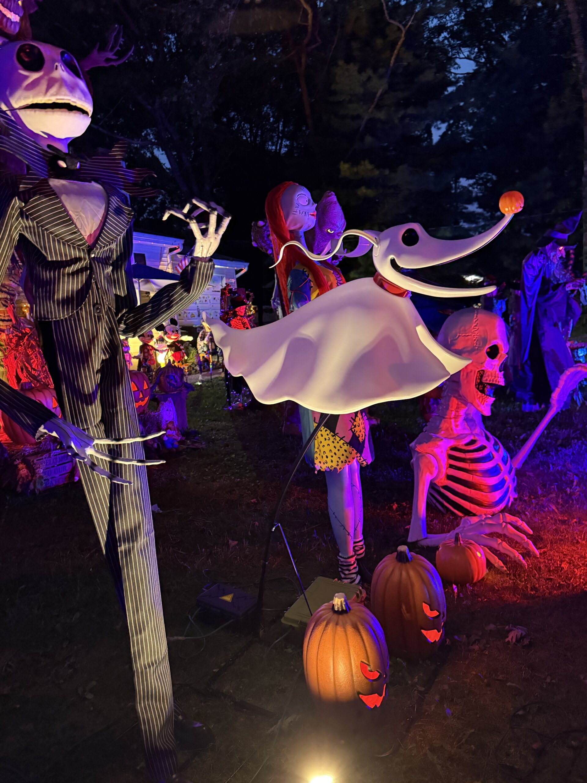 Halloween display at 21 West Street, Middle Island, NY - photo 1