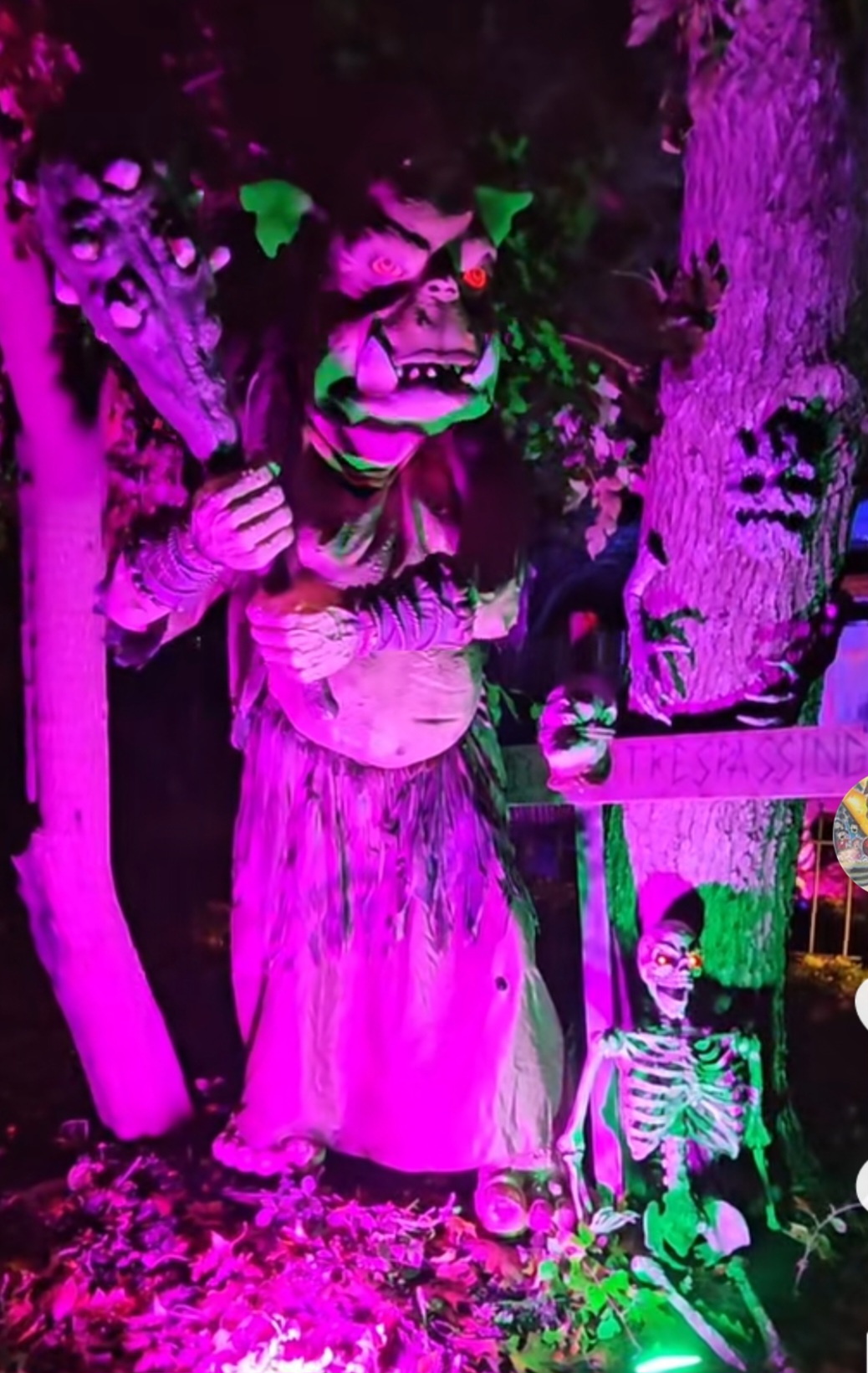 Halloween display at 605 Birch Hollow Dr, Shirley, NY - photo 1