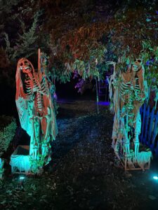 Halloween display at 280 North Virginia Avenue, Massapequa