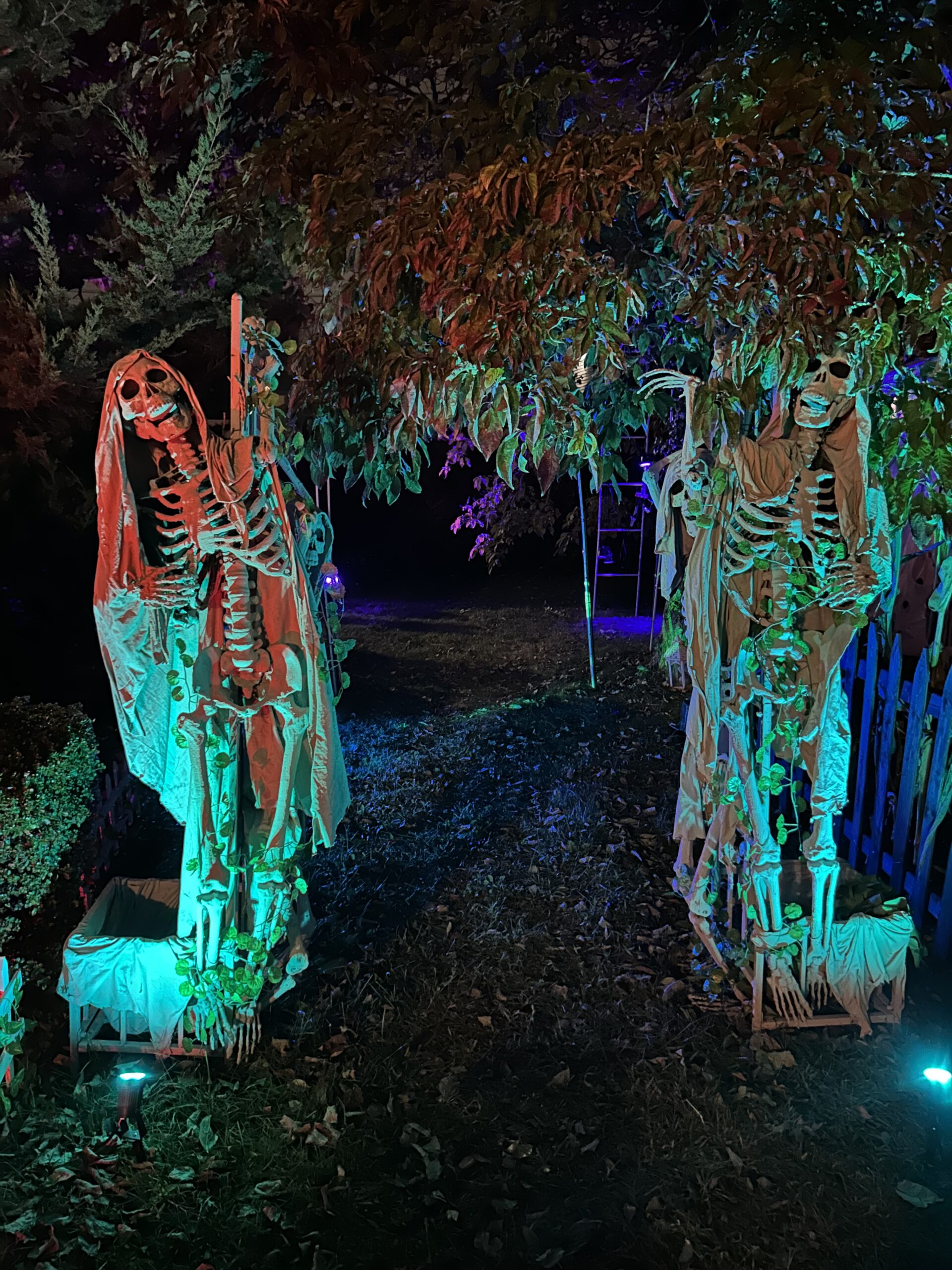 Halloween display at 280 North Virginia Avenue, Massapequa, NY - photo 1