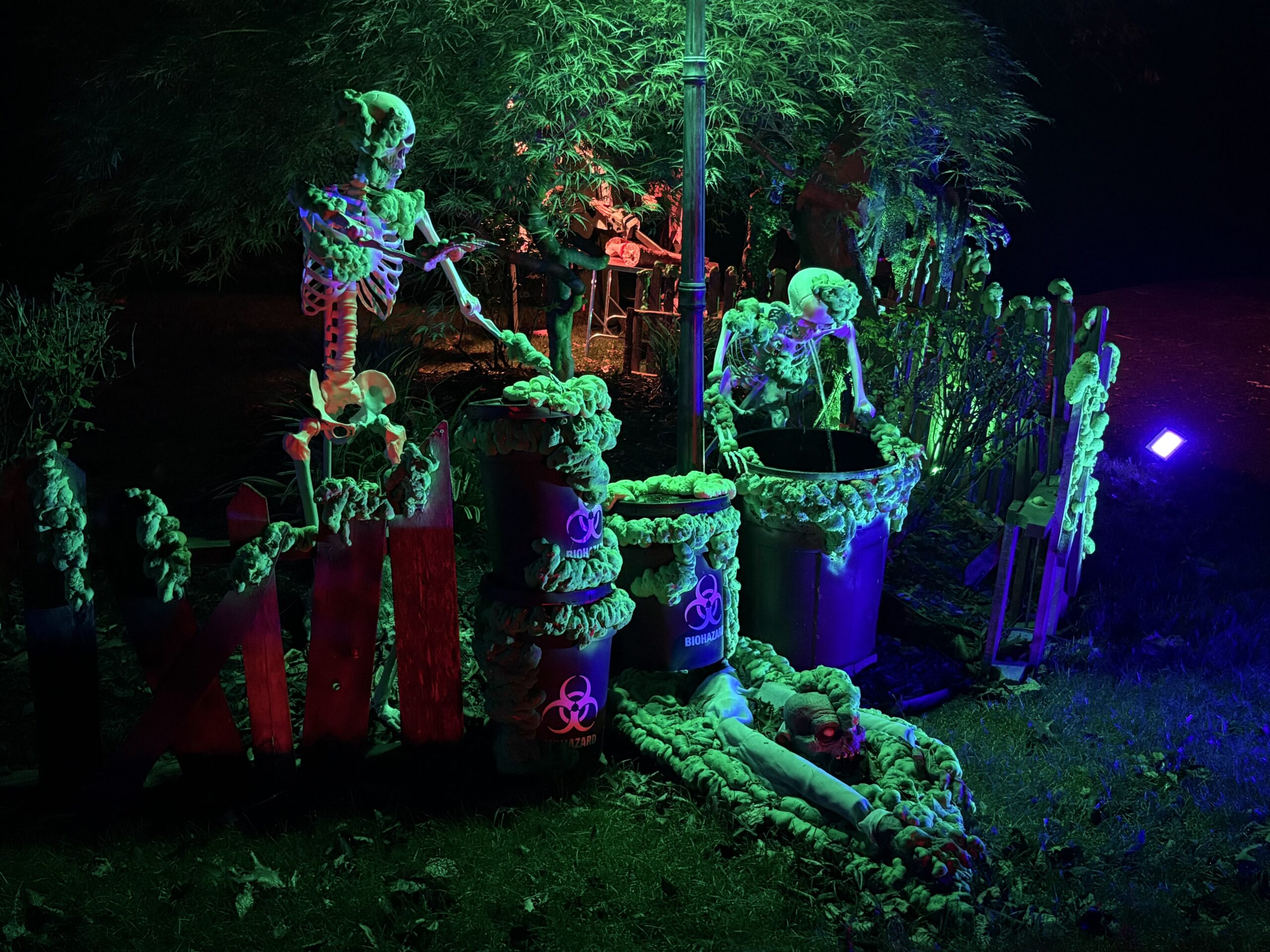 Halloween display at 86 Chateau Drive, Melville, NY - photo 1