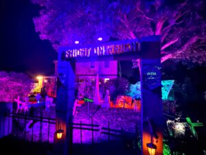 Halloween display at 141 Wright Avenue, Deer Park